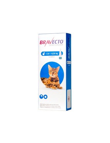 Bravecto Spot on Cat 250 mg (2.8 - 6.25 kg)