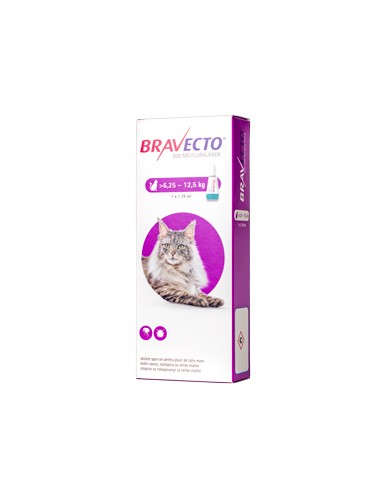 Bravecto Spot On Cat 500 mg (6.25-12.5 kg)