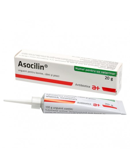 Asocilin 20 g