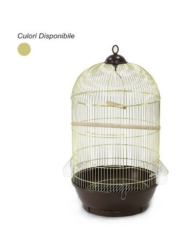 Colivie Pasari P 330 G Aurie,  (d x h):  47 x...