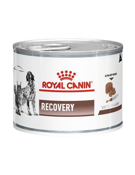 Royal Canin VD, Recovery Ultra Soft Dog/Cat, Conservă 6 x 195 g