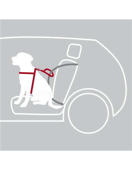Ham Si Centura Auto Pentru Caini, S-M: 40-55 cm/17 mm, Negru, 12855