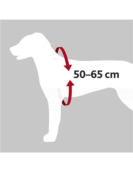 Ham Si Centura Auto Pentru Caini, M: 50-65 cm/20 mm, Negru, 12856