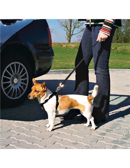 Ham Si Centura Auto Pentru Caini, S: 30-60 cm/20 mm, Negru, 1290