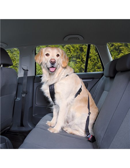 Ham Si Centura Auto Pentru Caini, S: 30-60 cm/20 mm, Negru, 1290