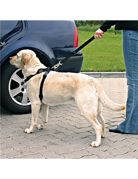 Ham Si Centura Auto Pentru Caini, L: 70-90 cm/25 mm, Negru, 1292