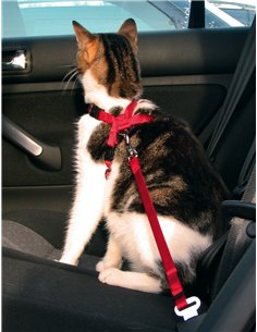 Ham Si Centura Auto Pentru Pisici, 20-50 cm/15 mm, Rosu, 1294 2