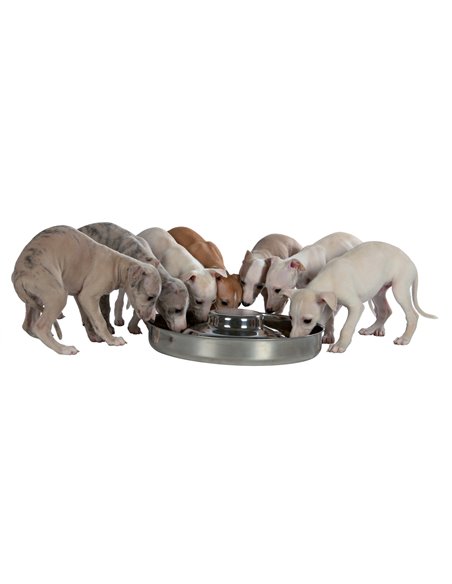 Castron Inox Pentru Caini Juniori (Puppy), 4 l /38 cm, 25282