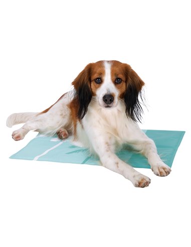 Saltea Racoritoare 65x50 cm Albastru 28684