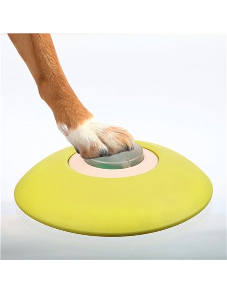 Jucarie Dog Activity, Memory Trainer 3.0, 20 x 24 cm, 32040