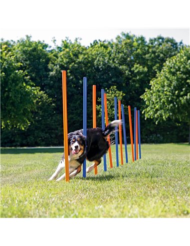 Slalom Pentru Caini, Fun Agility, Plastic, 3x115 cm, 12 buc, 3206	