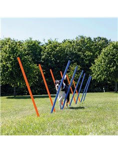 Slalom Pentru Caini, Fun Agility, Plastic, 3x115 cm, 12 buc, 3206	 2