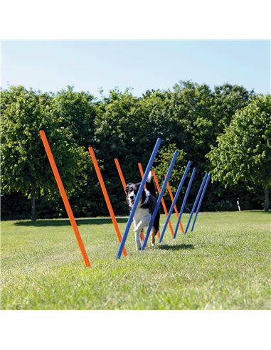 Slalom Pentru Caini, Fun Agility, Plastic, 3x115 cm, 12 buc, 3206	