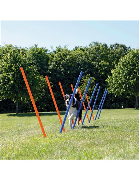 Slalom Pentru Caini, Fun Agility, Plastic, 3x115 cm, 12 buc, 3206	