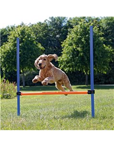 Obstacol Pentru Caini, Fun Agility, Plastic, 123x115 cm, 3207	