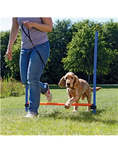 Obstacol Pentru Caini, Fun Agility, Plastic, 123x115 cm, 3207	 2