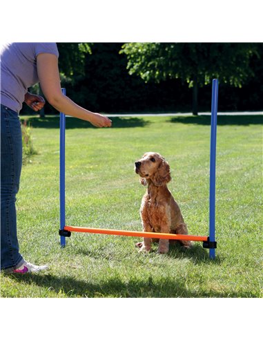 Obstacol Pentru Caini, Fun Agility, Plastic, 123x115 cm, 3207	