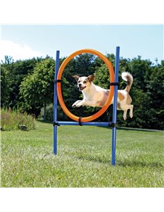 Inel Pentru Caini, Fun Agility, Plastic, 115x3 cm, 65 cm, 3208	