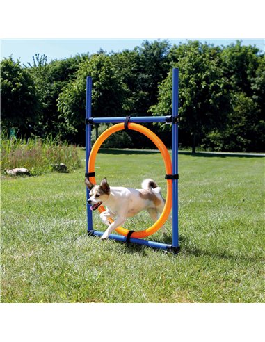 Inel Pentru Caini, Fun Agility, Plastic, 115x3 cm, 65 cm, 3208	