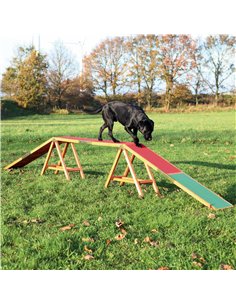 Barna Pentru Caini, Fun Agility, 456x64x30 cm, Pana la 80 kg, 32090	 2