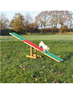 Balansoar Pentru Caini, Fun Agility, 300x54x34 cm, Pana la 80 kg, 3213	 2
