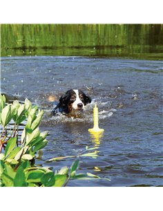 Jucarie De Apa Pentru Aport, MOT-Aqua, Plutitoare, 29 cm, 32331 2