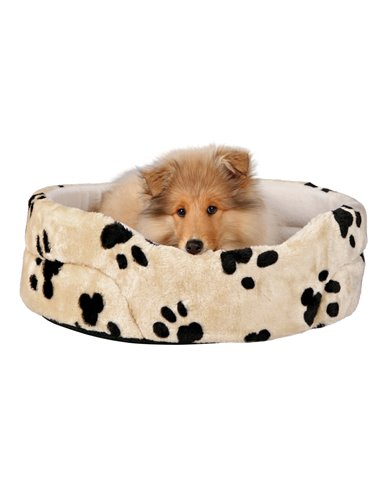 Pat Joey, 79x70 cm, Bej, 37006