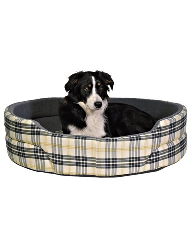 Pat Lucky, 55x45 cm, Carouri 37022	