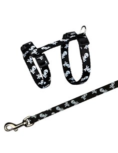 Ham Si Lesa Pentru Pisici, 27-46 cm/10 mm, 1.20 m, Diferite Culori, 41894 2