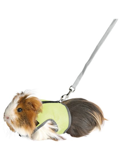 Ham Si Lesa Pentru Porcusori de Guineea, Soft, 18-25 cm/1.20 m, Diferite Culori, 61512