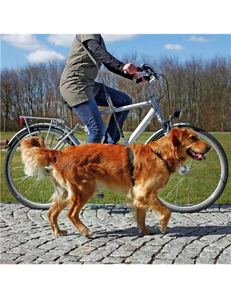 Lesa Pentru Jogging Si Bicicleta, Cu Amortizor, 1.00-2.00 m/25 mm, Negru, 1282	