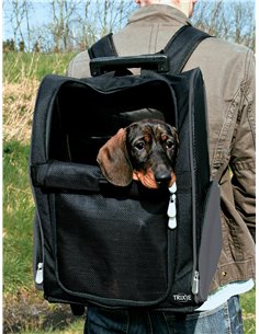 Geanta De Transport, Troler/Rucsac, 32x45x25 cm, Pana la 8 kg, Negru/Gri, 2880	 2
