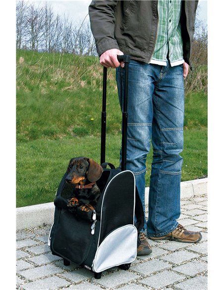 Geanta De Transport, Troler/Rucsac, 32x45x25 cm, Pana la 8 kg, Negru/Gri, 2880	