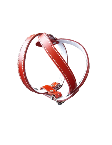 Ham L3 Piele Captusit 64-72 cm/16 mm - Rosu