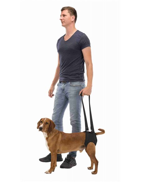 Ham Reabilitare Pentru Caini, M: 55-65 cm, Pana la 25 kg, Negru, 19406	