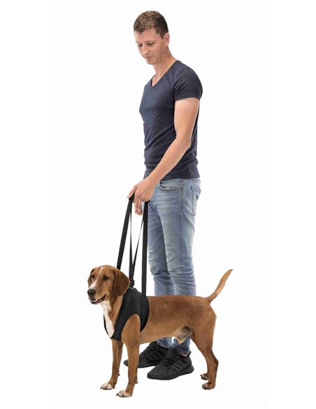 Ham Reabilitare Pentru Caini, L: 65-75 cm, Pana la 35 kg, Negru, 19407	