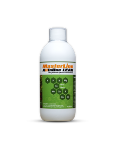 Masterline All in One Lean (500ml)