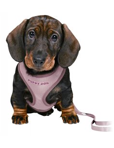 Ham Si Lesa, Soft, Pentru Caini Juniori, S-M: 26-34 cm/10 mm, 2.00 m, Lila Deschis, 15564	 2