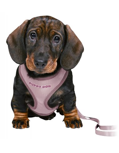 Ham Si Lesa, Soft, Pentru Caini Juniori, S-M: 26-34 cm/10 mm, 2.00 m, Lila Deschis, 15564	