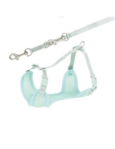 Ham Si Lesa, Soft, Pentru Caini Juniori, S-M: 26-34 cm/10 mm, 2.00 m, Verde Menta, 15565	