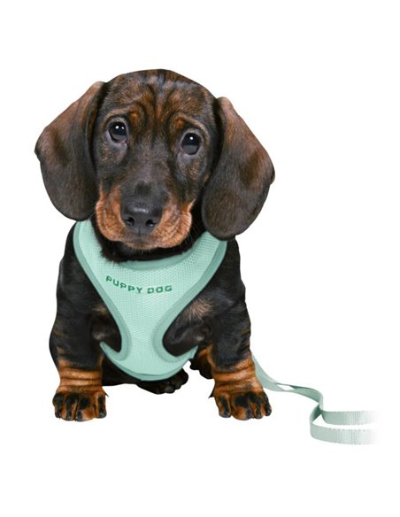 Ham Si Lesa, Soft, Pentru Caini Juniori, S-M: 26-34 cm/10 mm, 2.00 m, Verde Menta, 15565	