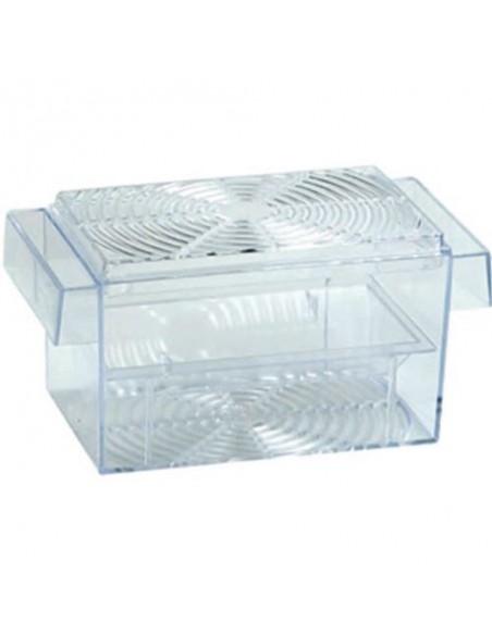 Maternitate Guppy, 400165