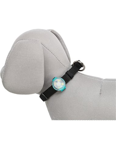 Flasher USB Pentru Zgarda Cainilor, 3x8 cm, Diverse Culori, 13450	