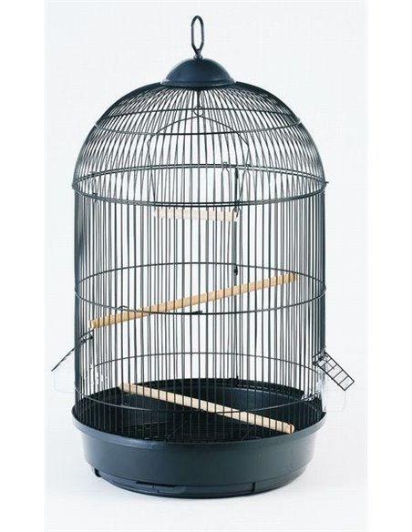 Colivie Avi, 42 x 77 cm, Negru, K64