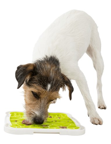 Farfurie Pentru Hranire Lenta, Lickâ€™n'Snack, 20x20 cm, Lime/Alb, 34952