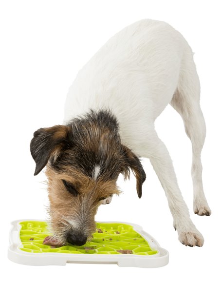 Farfurie Pentru Hranire Lenta, Lickâ€™n'Snack, 20x20 cm, Lime/Alb, 34952