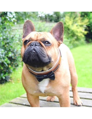 Zgarda Bowtie-Papion, Piele Naturala, Maro/Negru, pentru St Bernard, Husky, Bulldog etc