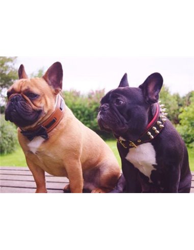 Zgarda Bowtie-Papion, Piele Naturala, Maro/Negru, pentru St Bernard, Husky, Bulldog etc