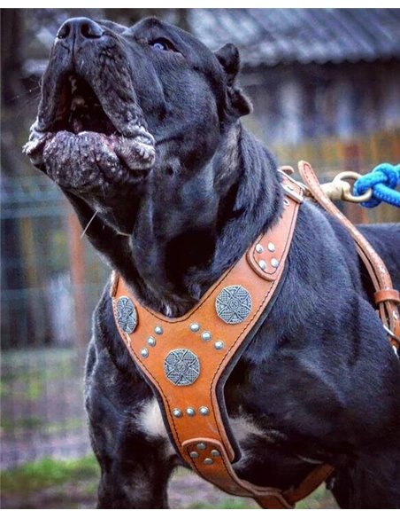 Ham Maximus, Piele Naturala, Maro/Argintiu