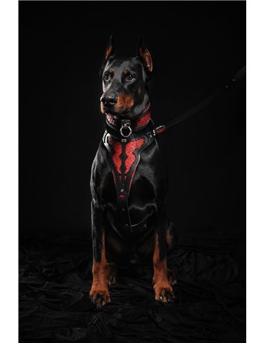 Zgarda Red Dragon, Piele Naturala, Negru, pentru Cane Corso, Amstaff, Doberman etc